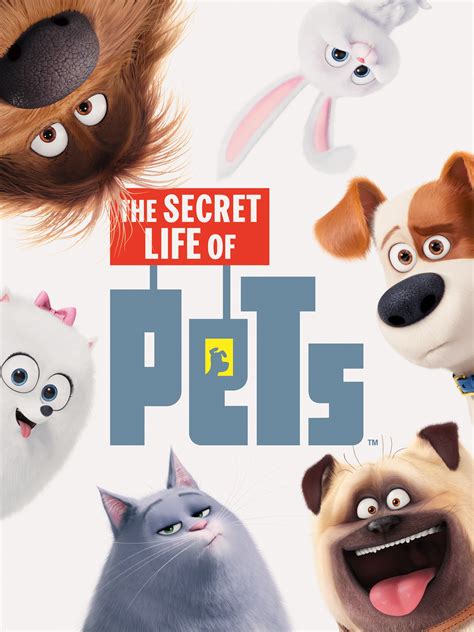 Watch The Secret Life of Pets 